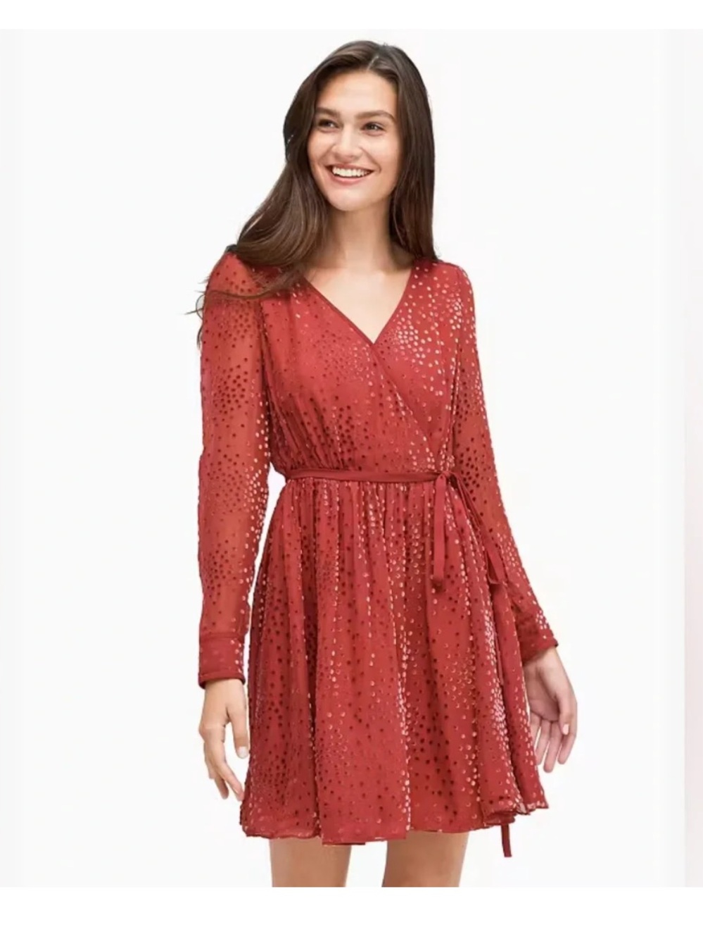 Kate Spade Maroon Festive Confetti Devore Long-Sleeve Mini Dress Size 6 - Picture 9 of 12